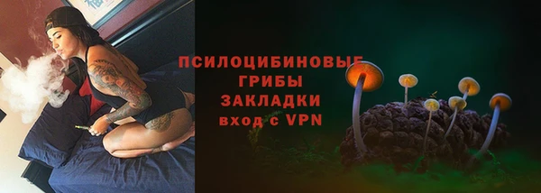 спиды Абаза