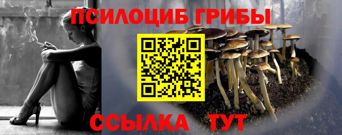 Фурманов  закладка  Вход с VPN  Псилоцибиновые грибы мухоморы 