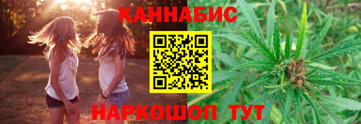 Каннабис планчик Фурманов